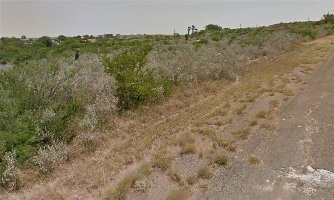 0.49 acres in Live Oak County gallery image 3