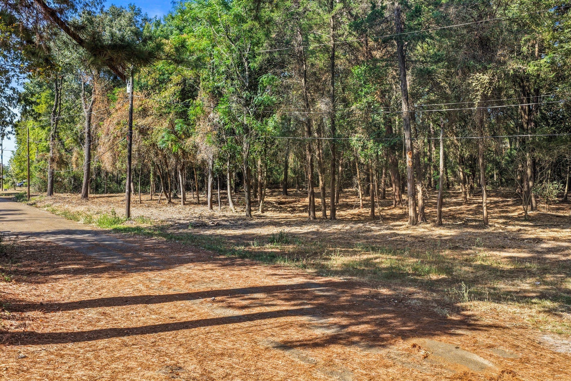 7 acres in Camp County - photo 5