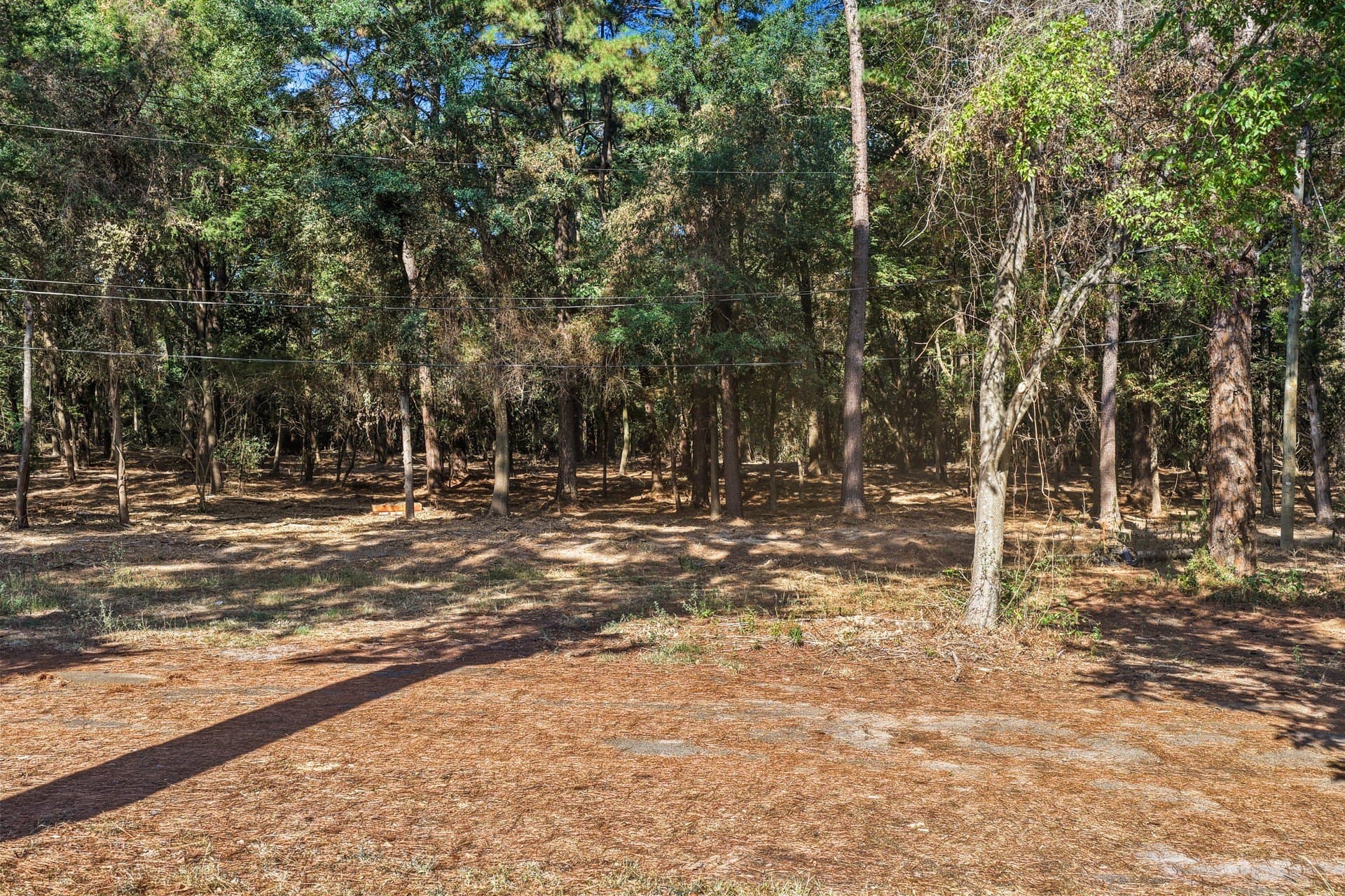 7 acres in Camp County - photo 2