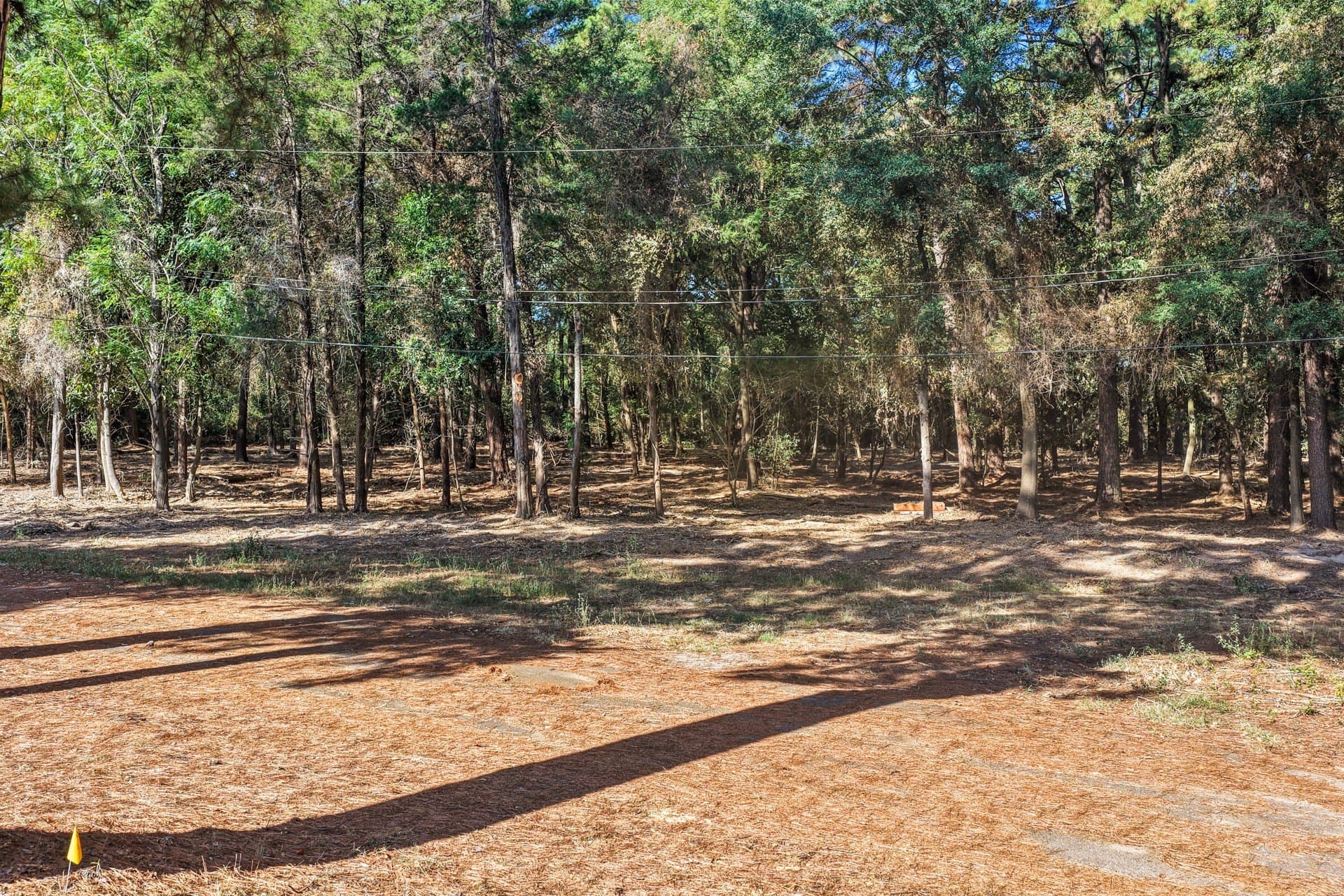 7 acres in Camp County - photo 4