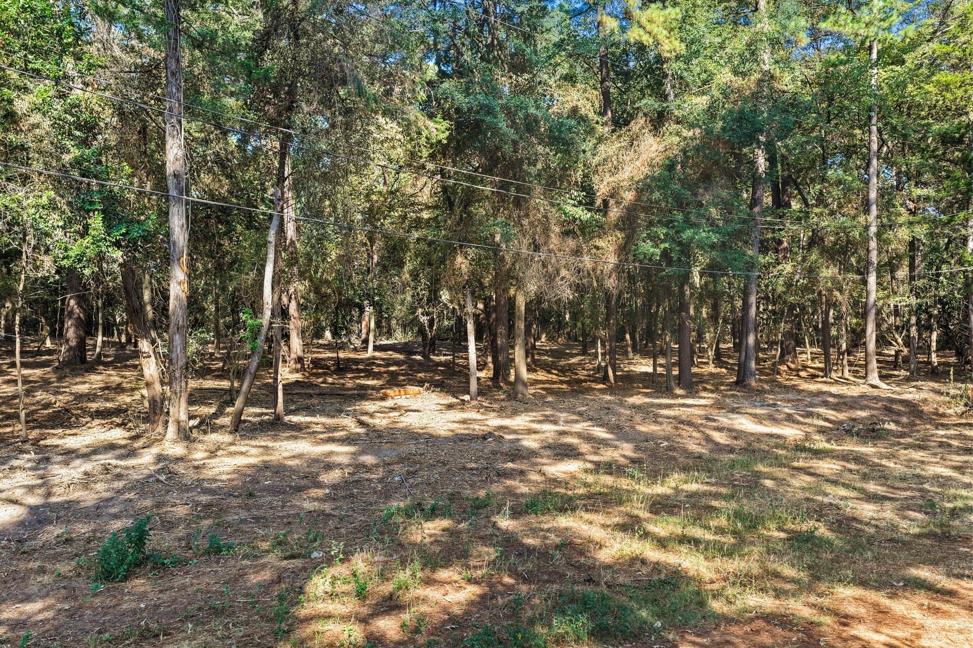 7 acres in Camp County - photo 12