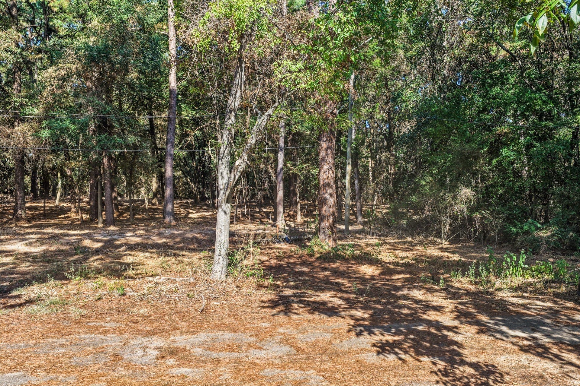 7 acres in Camp County - photo 3