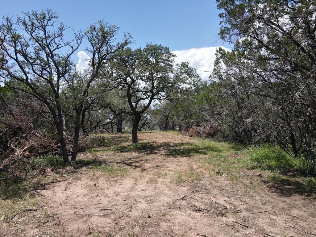 16.16 acres in Burnet County - photo 29