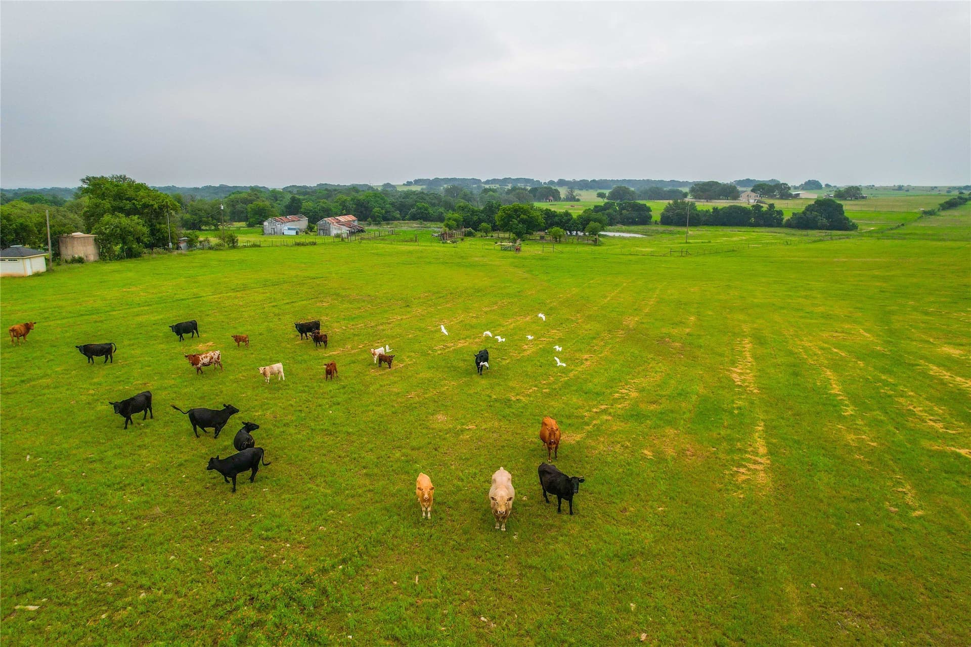 242.08 acres in McLennan County - photo 37