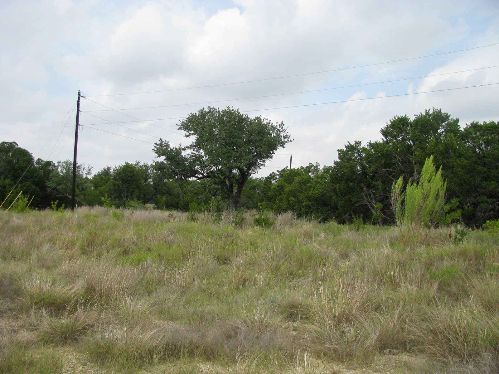 10.01 acres in Hamilton County - photo 24