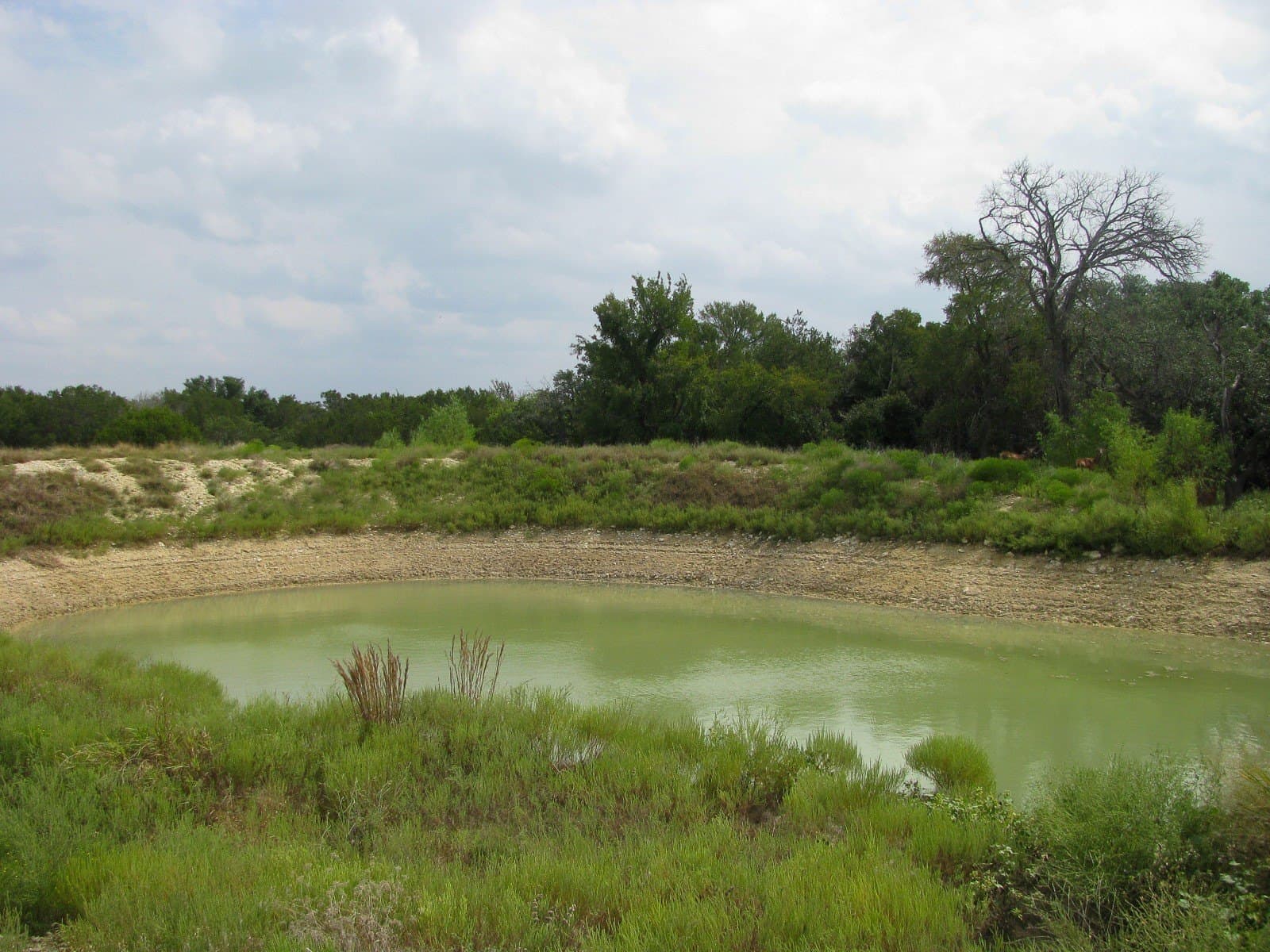 10.01 acres in Hamilton County - photo 4