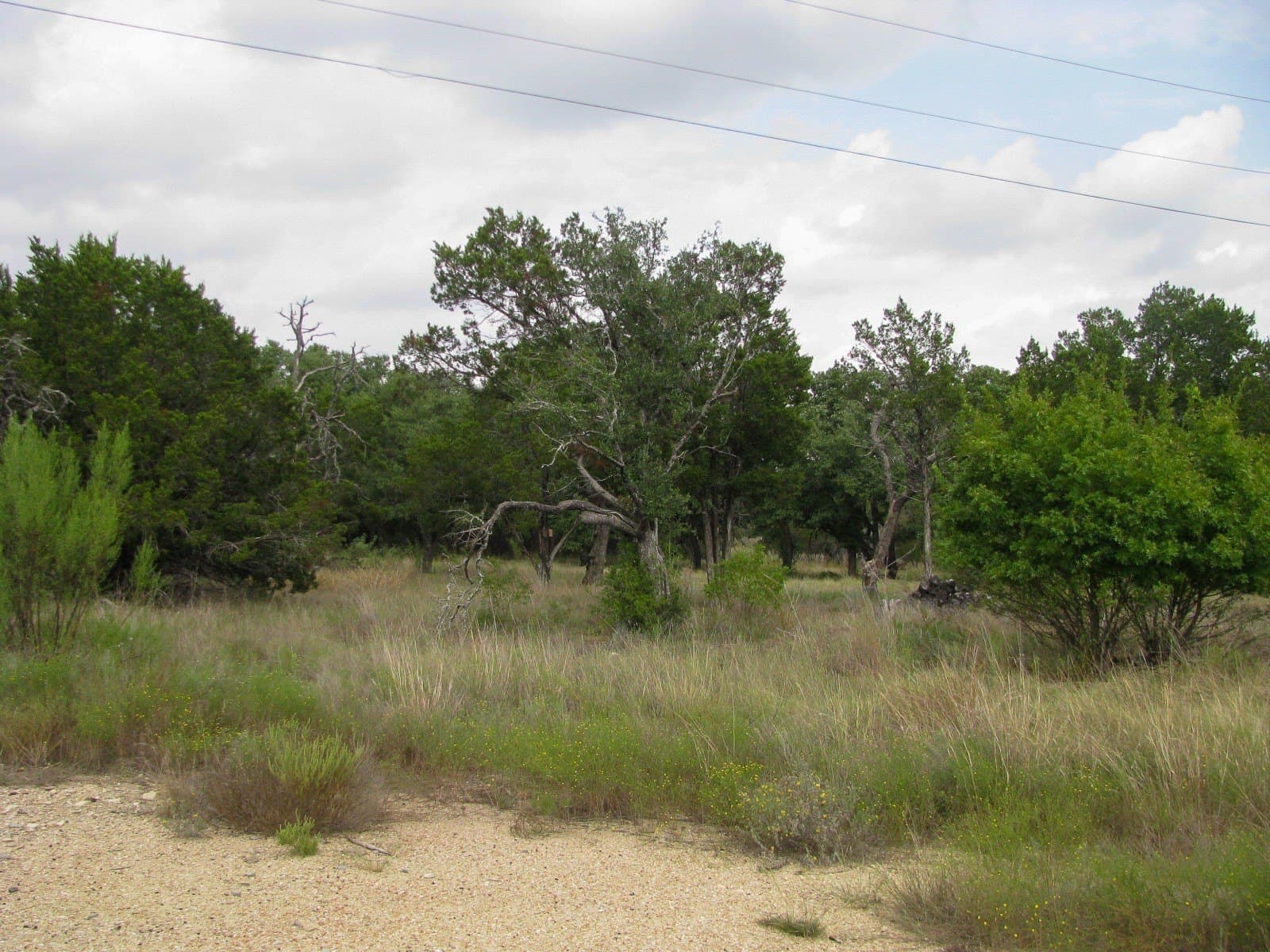 10.01 acres in Hamilton County - photo 22