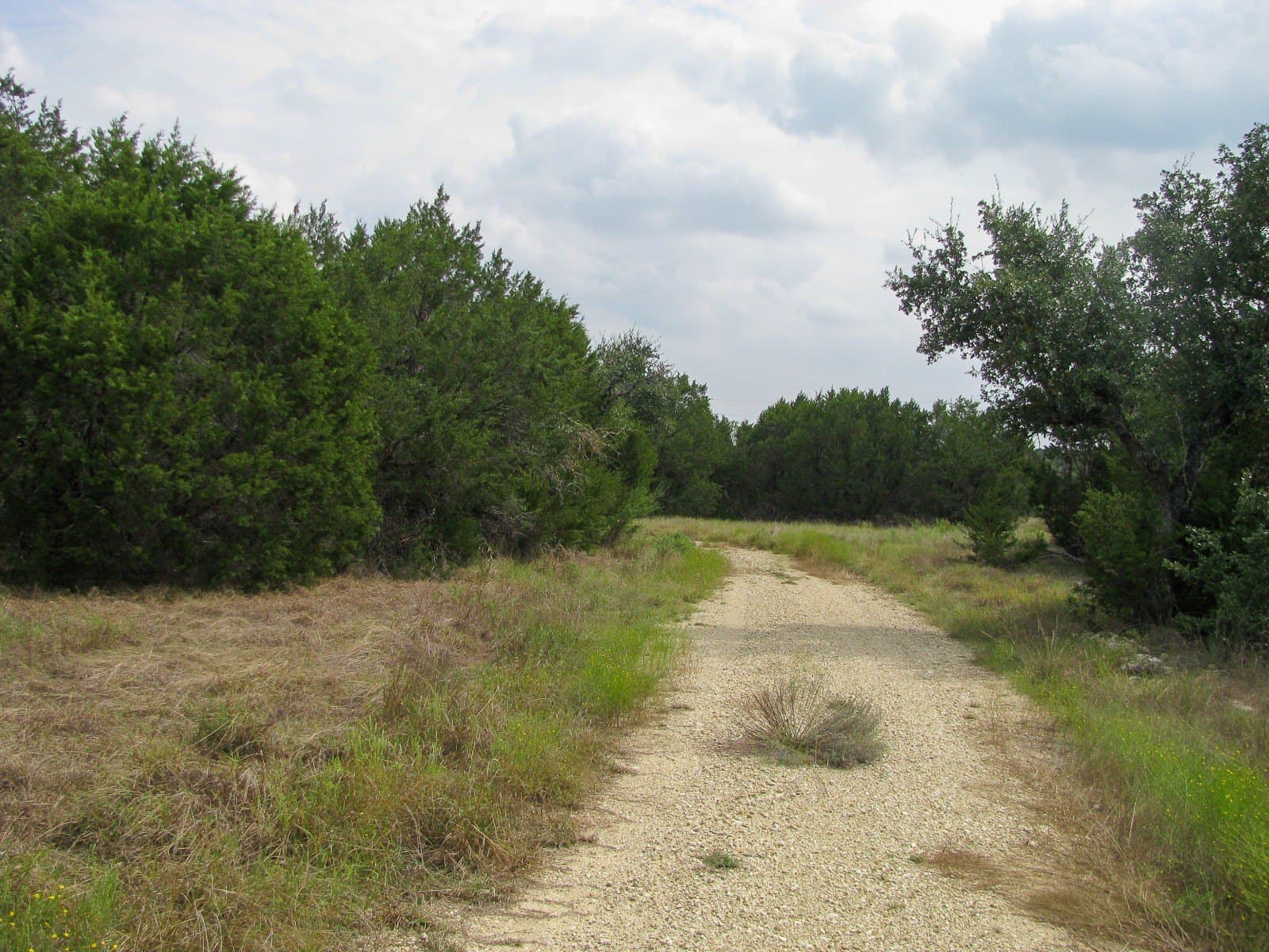 10.01 acres in Hamilton County - photo 9
