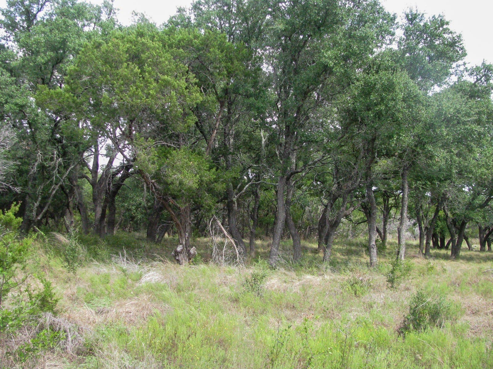 10.01 acres in Hamilton County - photo 11