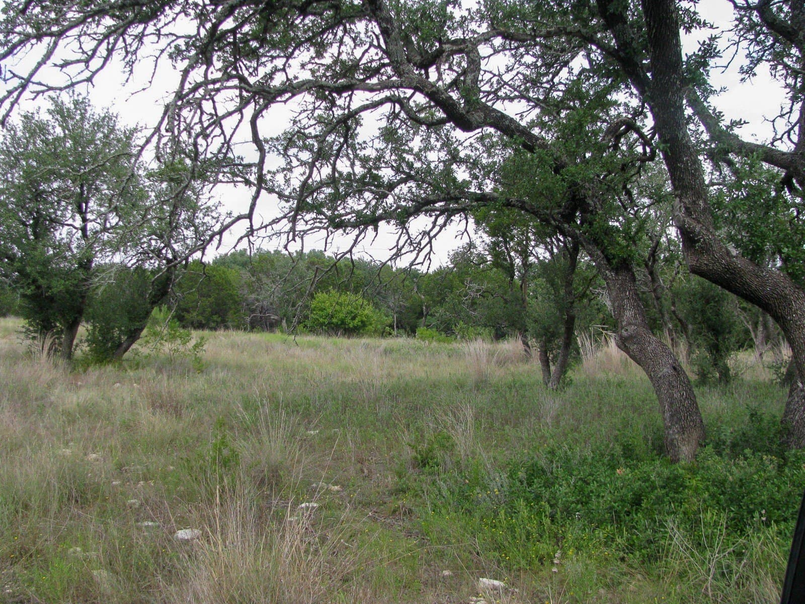 10.01 acres in Hamilton County - photo 3