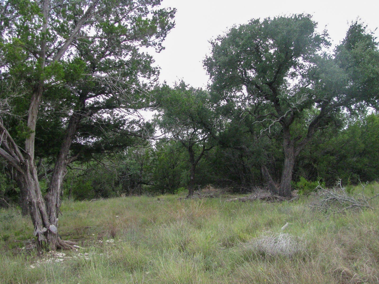 10.01 acres in Hamilton County - photo 2