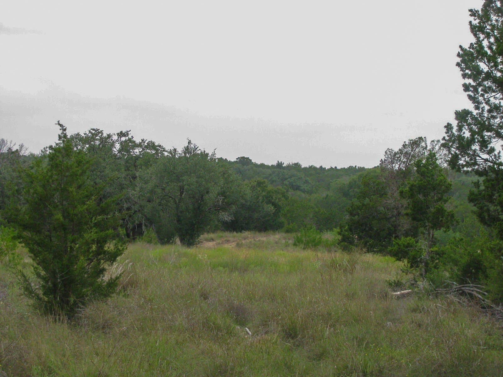 10.01 acres in Hamilton County - photo 14