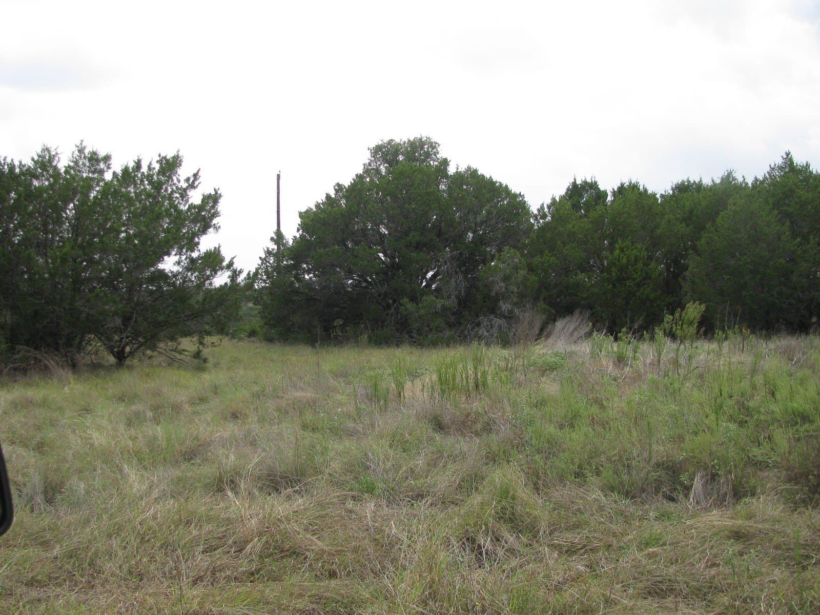 10.01 acres in Hamilton County - photo 10