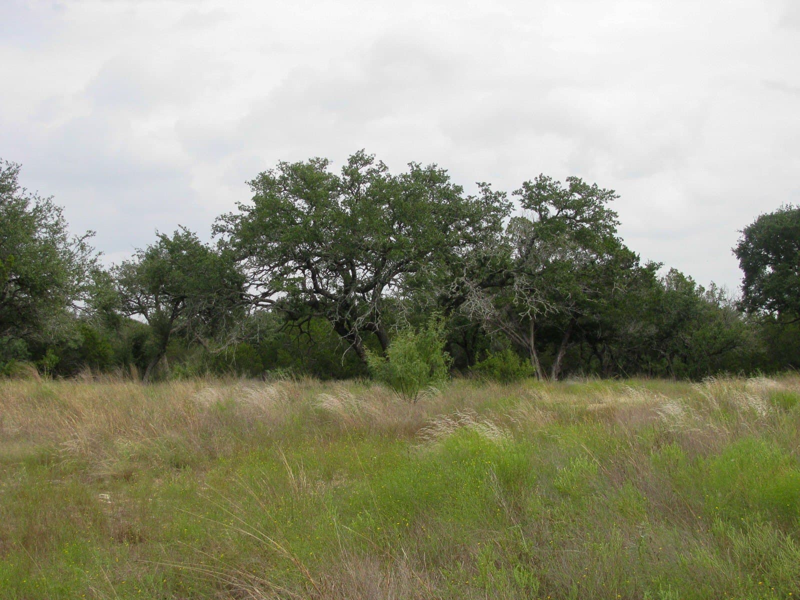 10.01 acres in Hamilton County - photo 26