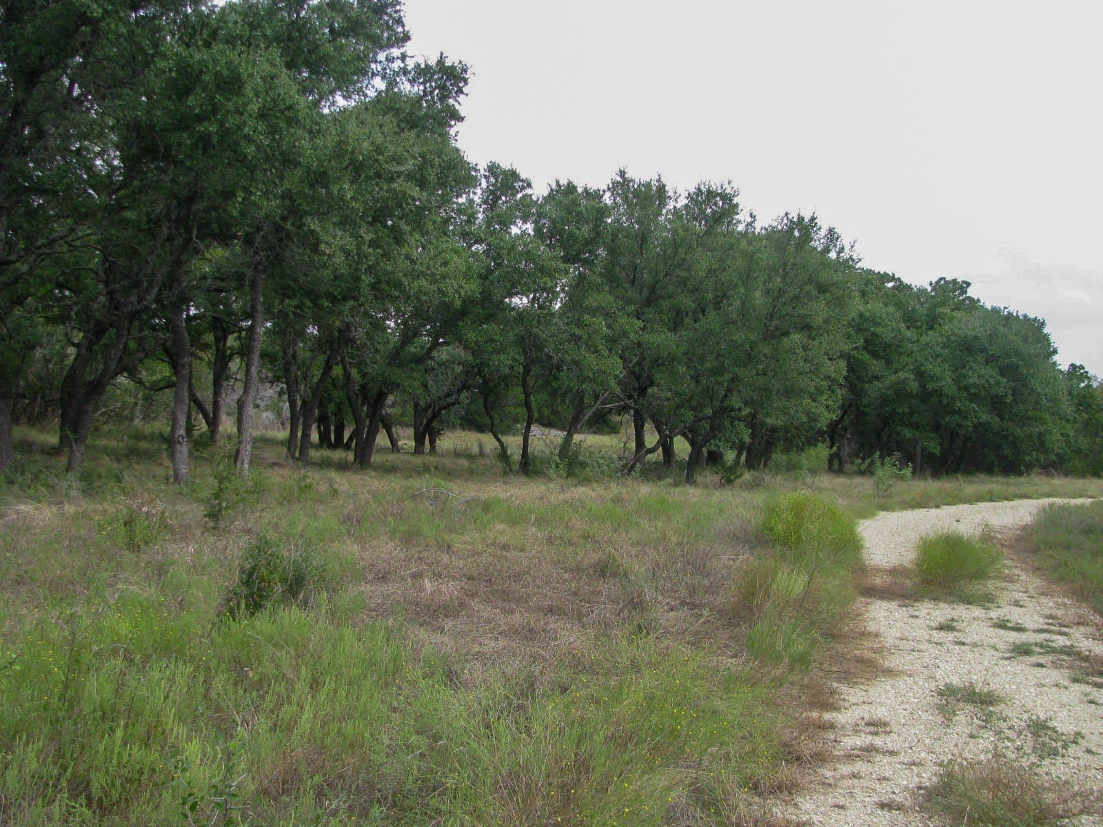 10.01 acres in Hamilton County - photo 12