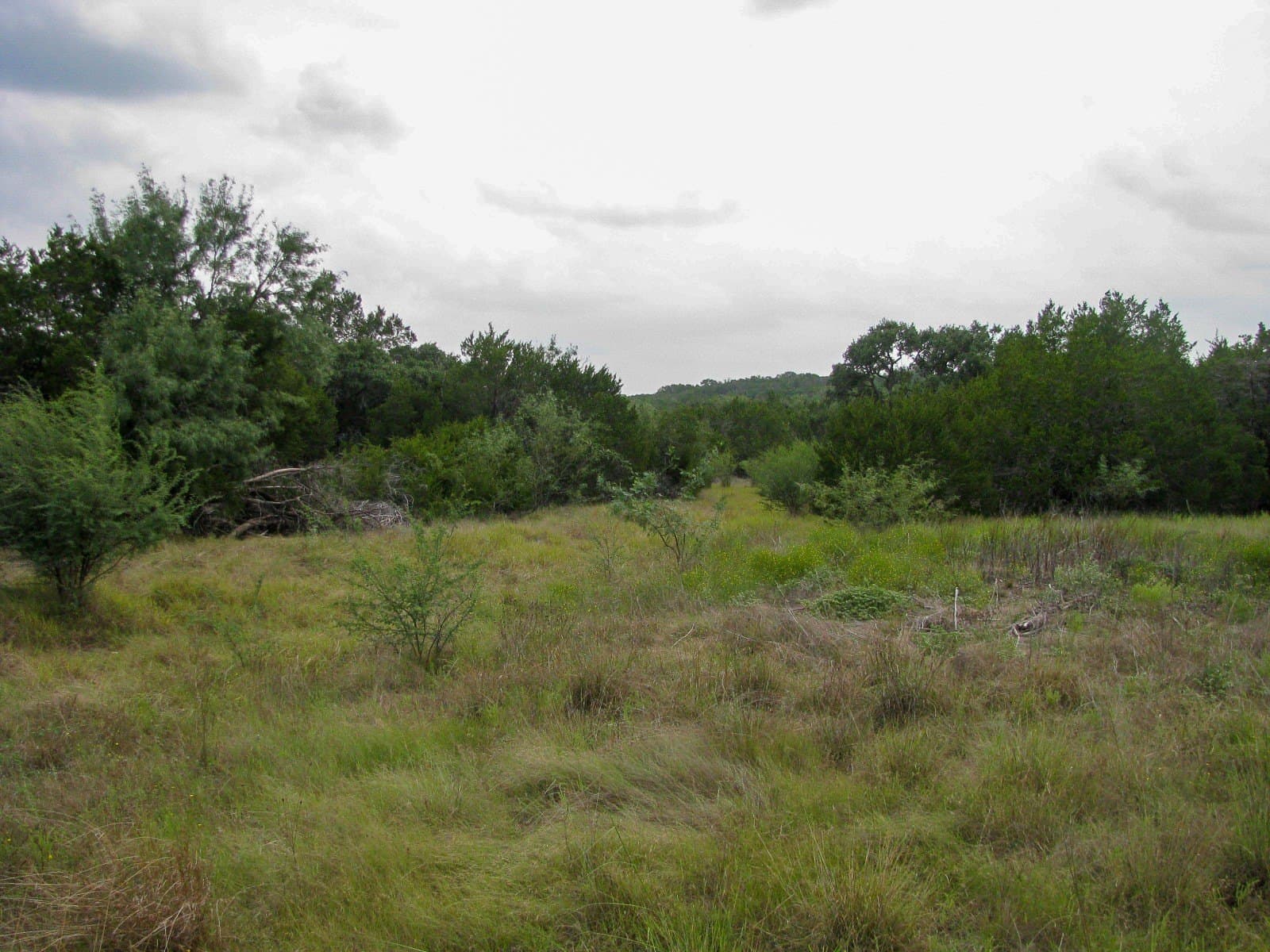 10.01 acres in Hamilton County - photo 18