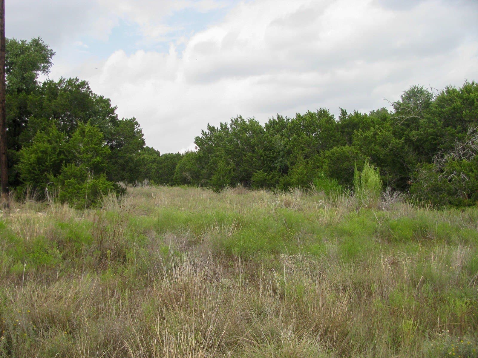 10.01 acres in Hamilton County - photo 23