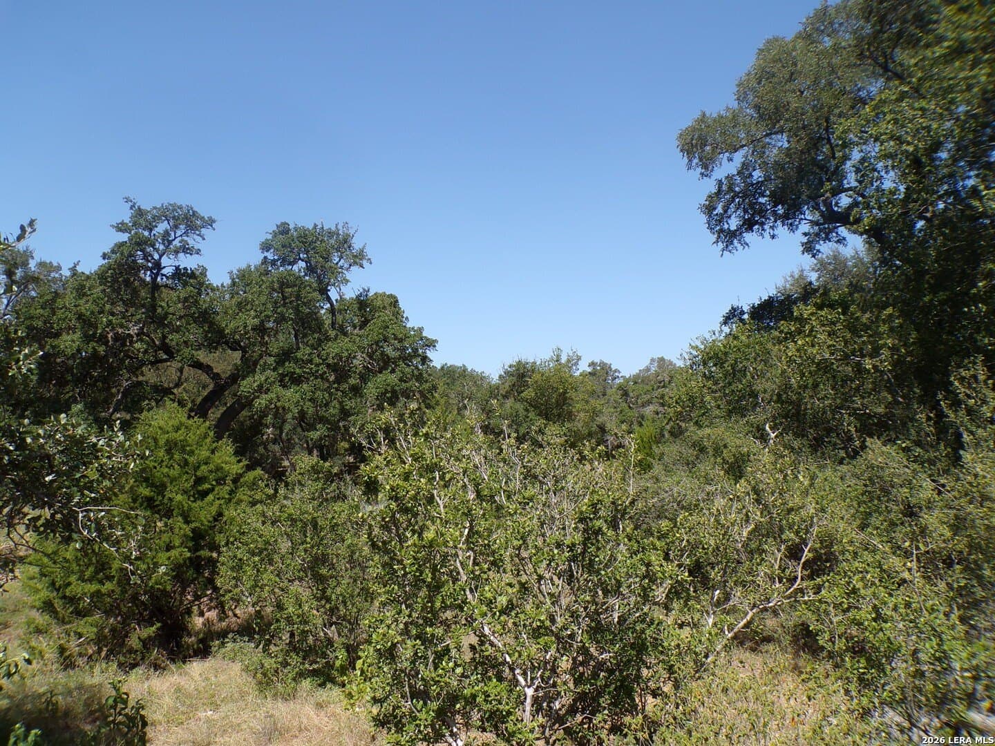1.19 acres in Comal County - photo 7
