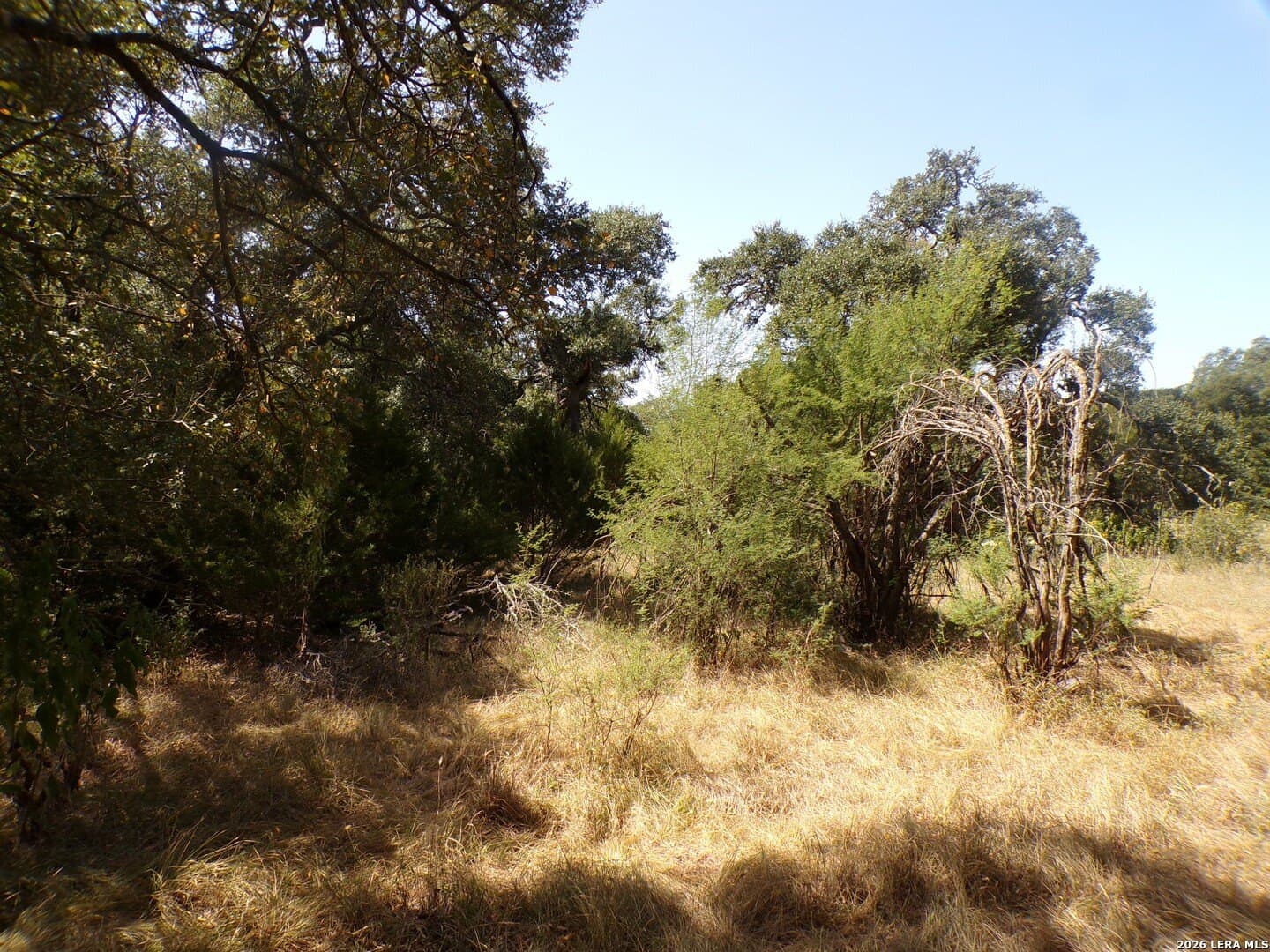 1.19 acres in Comal County - photo 6