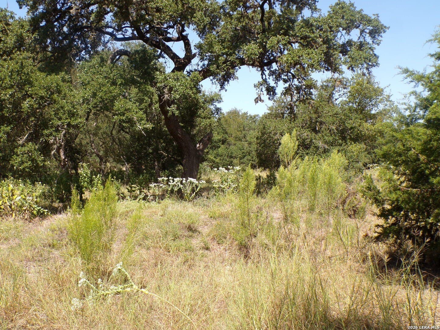 1.19 acres in Comal County - photo 10