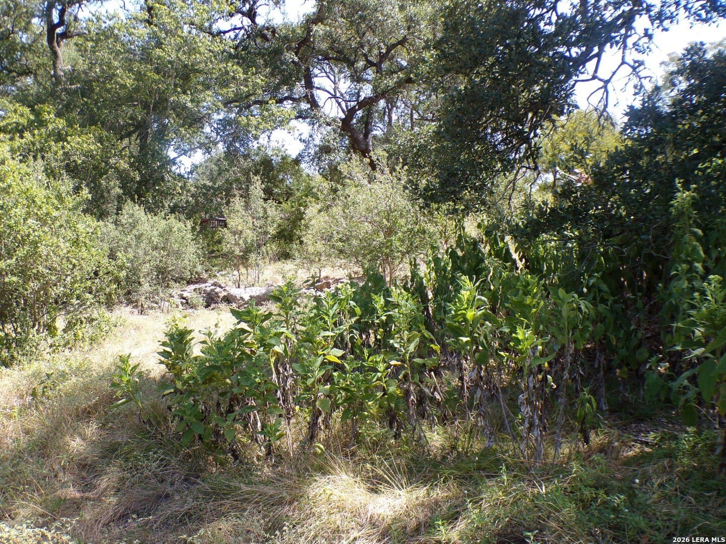 1.19 acres in Comal County - photo 9