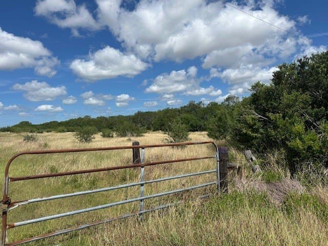 44 acres in Kleberg County gallery image 3