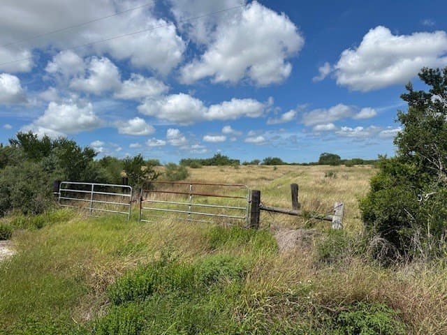 44 acres in Kleberg County gallery image 2