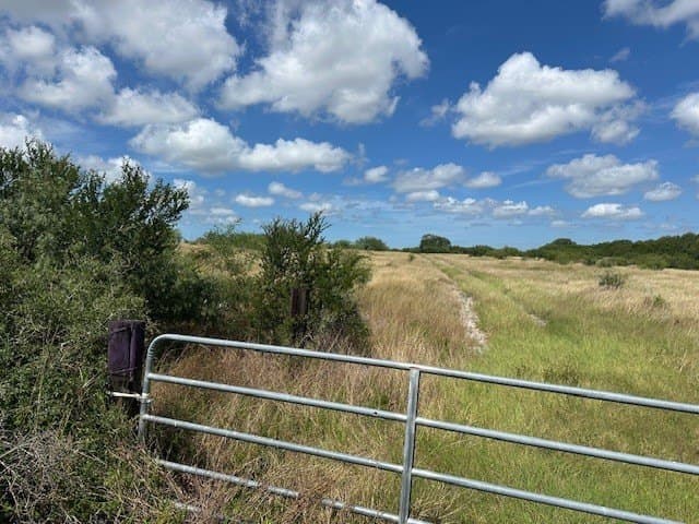 44 acres in Kleberg County gallery image 4