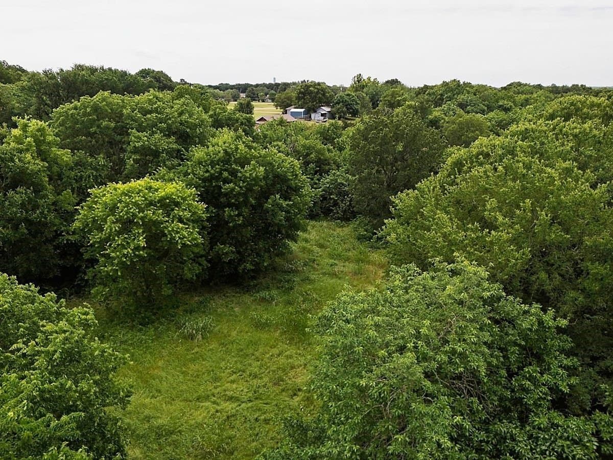 4.01 acres in Collin County - photo 14
