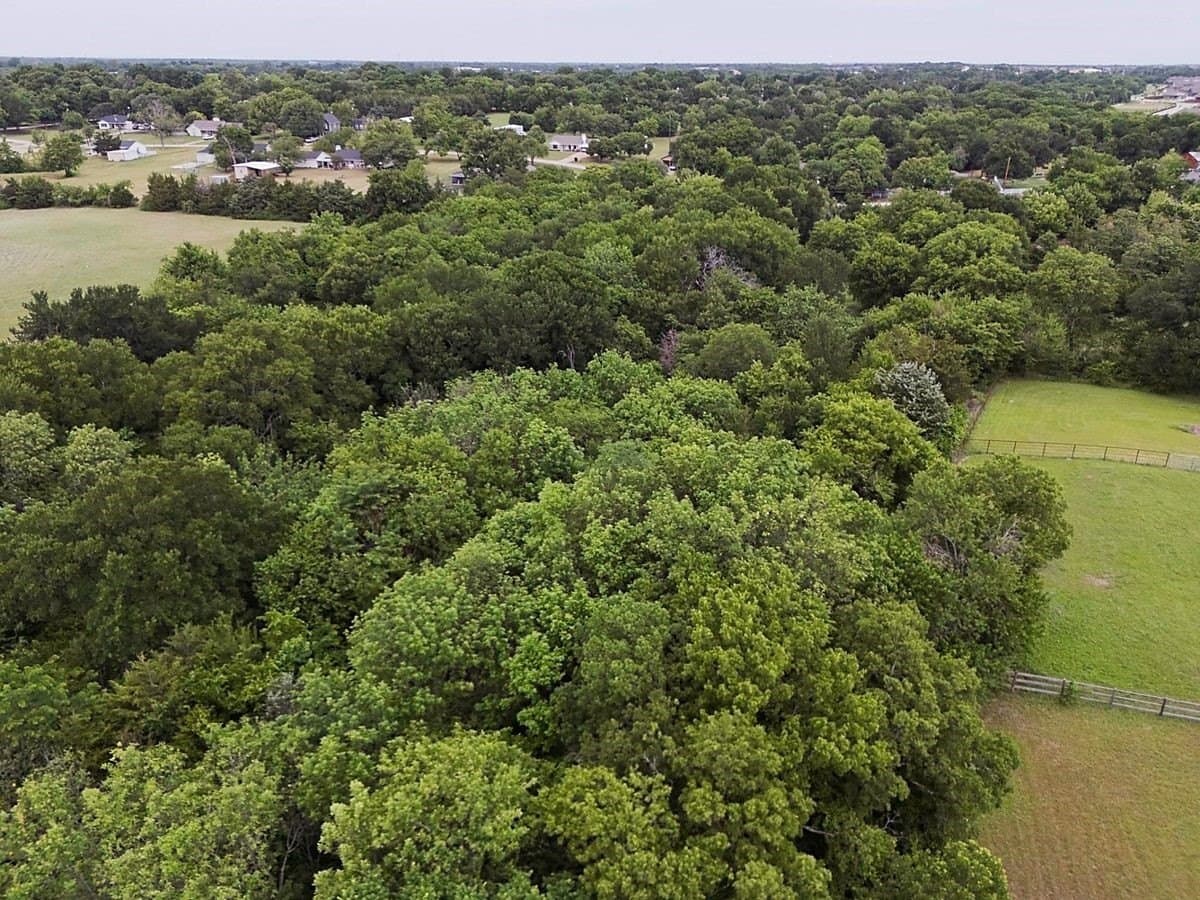 4.01 acres in Collin County - photo 12