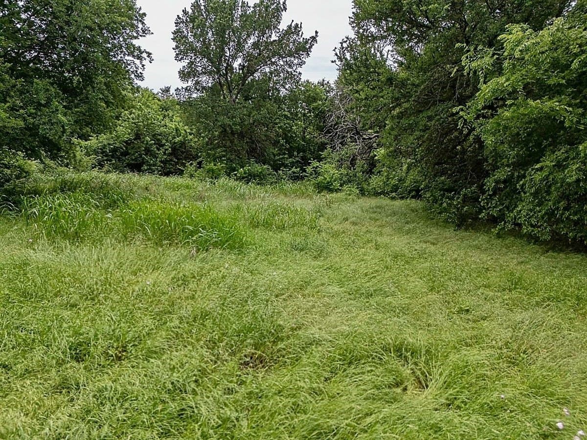 4.01 acres in Collin County - photo 15