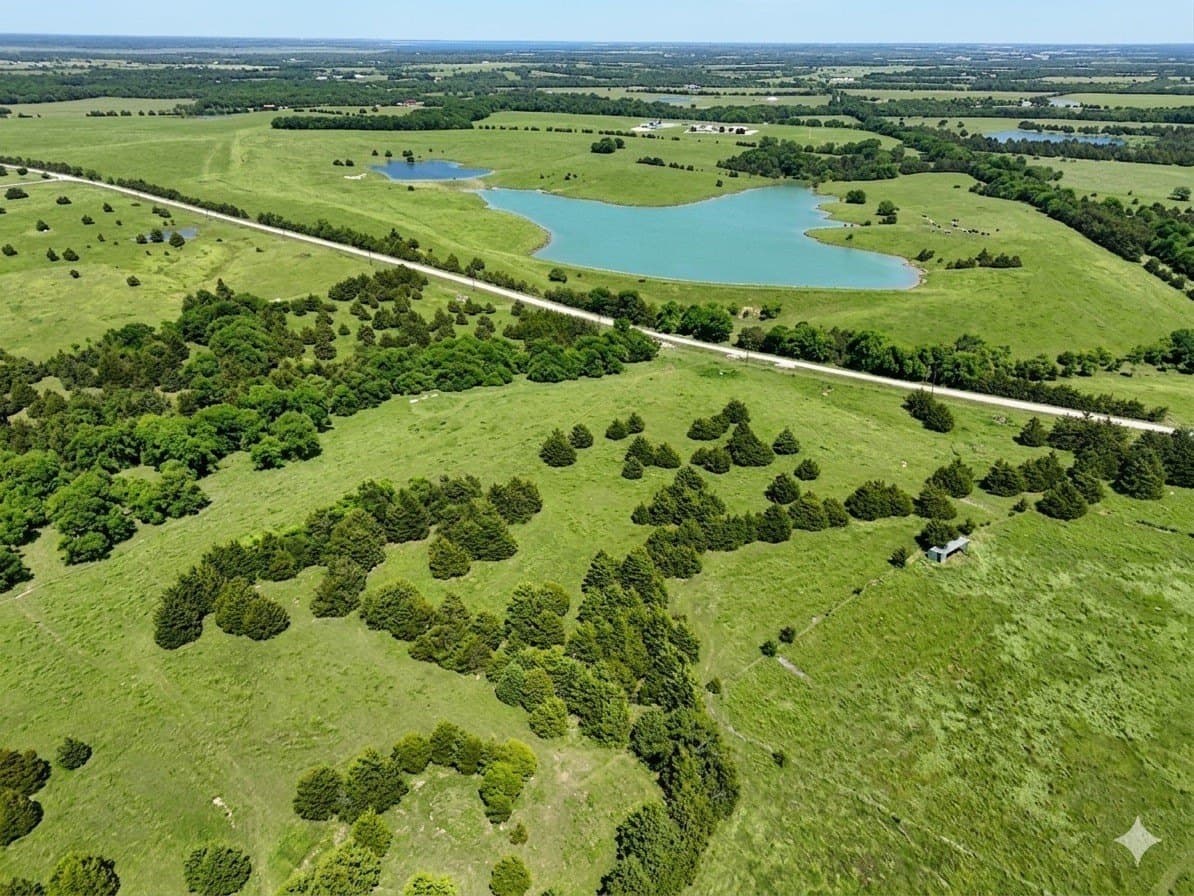 6.01 acres in Fannin County gallery image 2