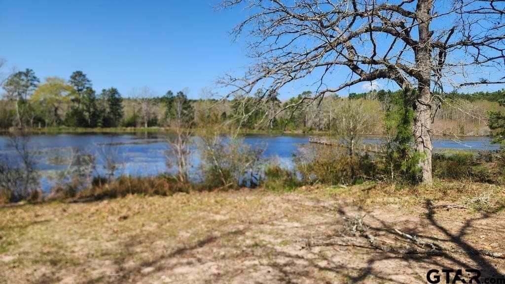 73.51 acres in Anderson County featured view