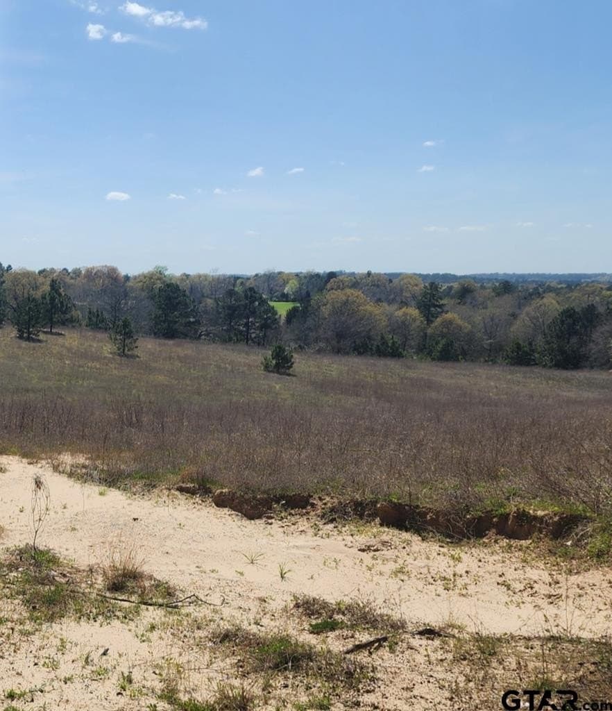 73.51 acres in Anderson County gallery image 2