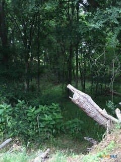 3.66 acres in Guadalupe County