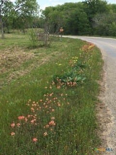 3.66 acres in Guadalupe County gallery image 2