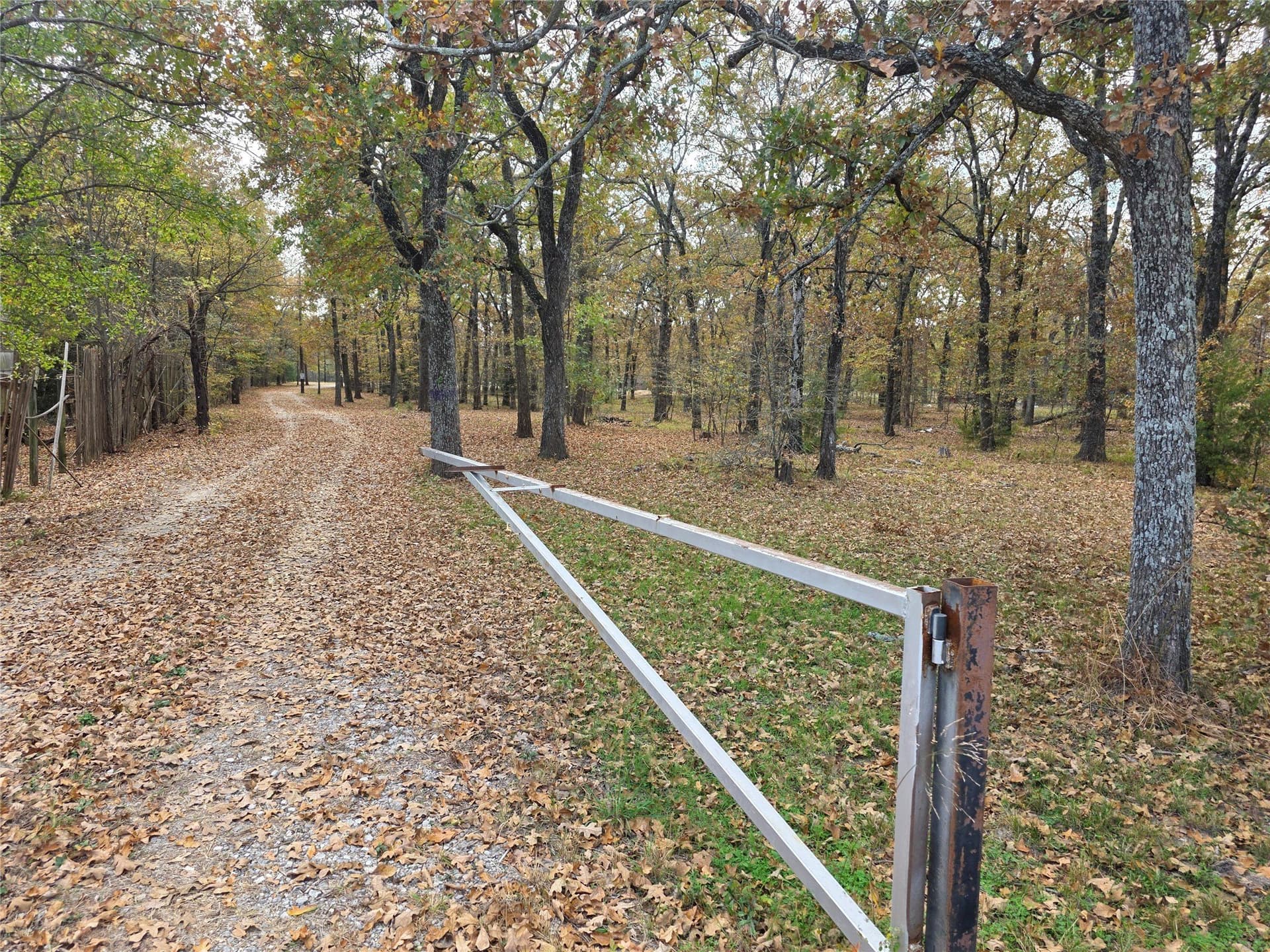 14.78 acres in Hunt County gallery image 3
