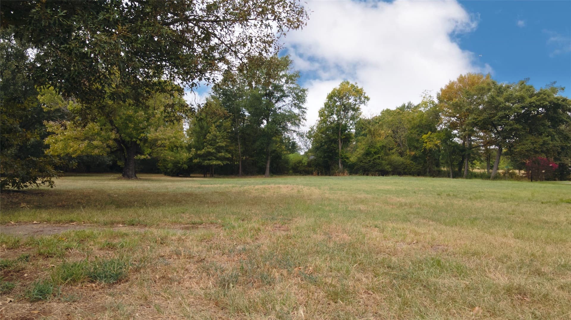 0.45 acres in Camp County - photo 9