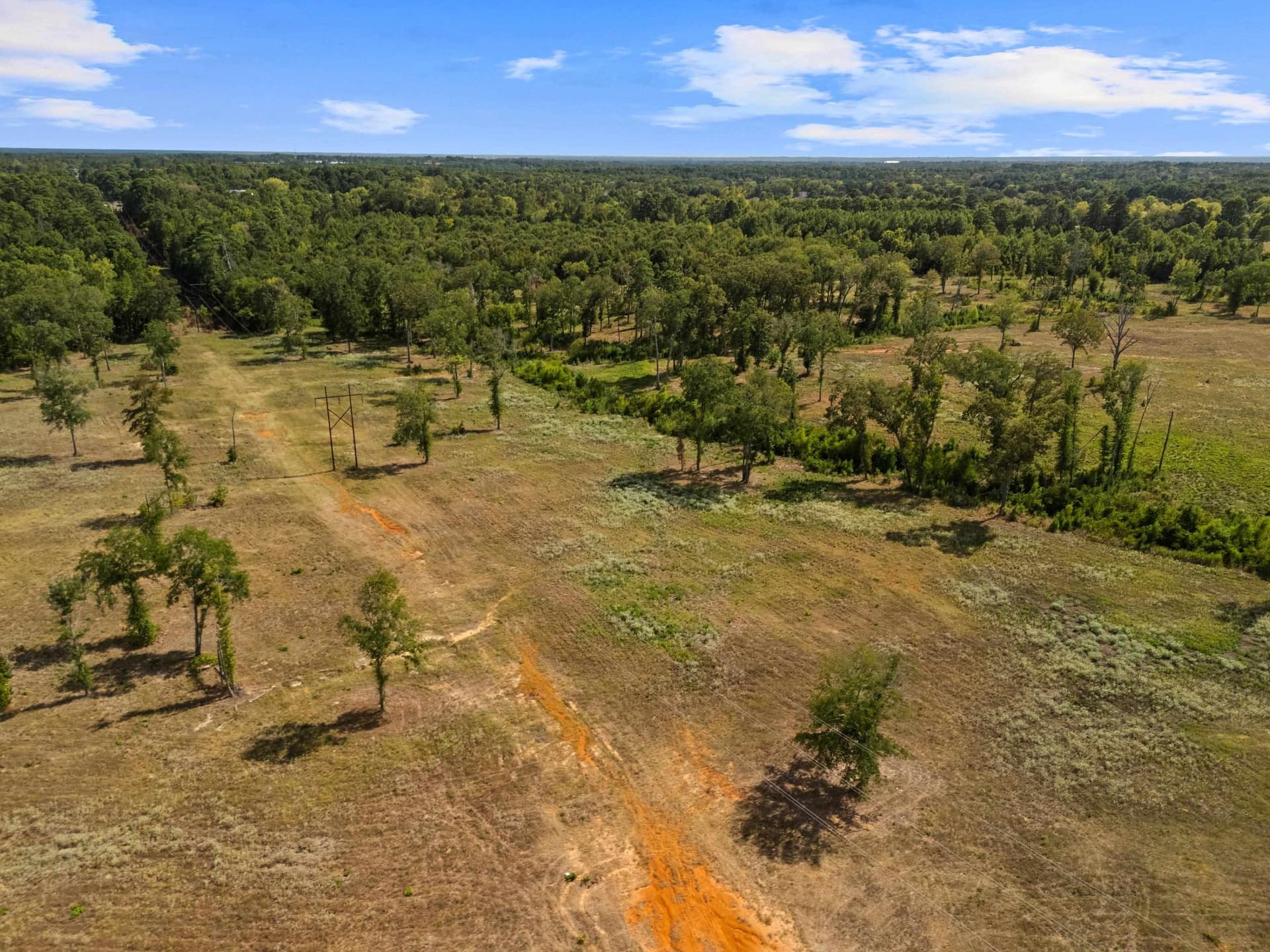45.06 acres in Harrison County - photo 9