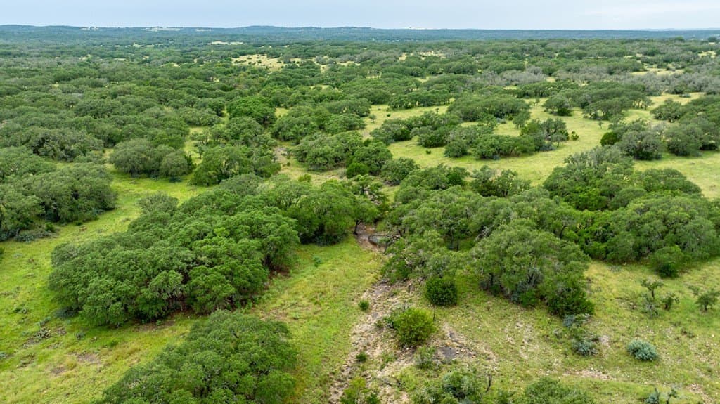 30.2 acres in Gillespie County featured view