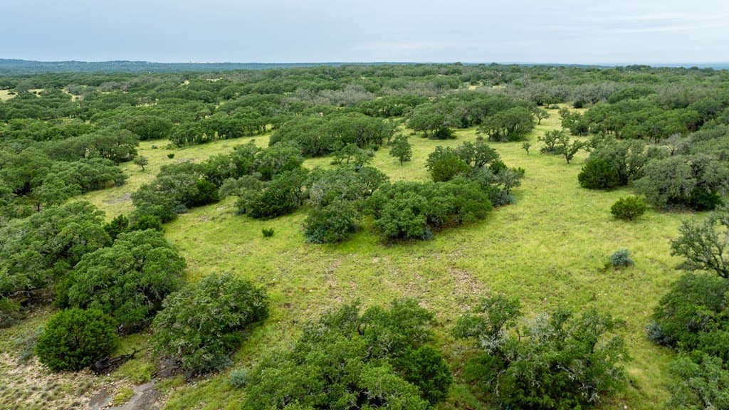 30.2 acres in Gillespie County gallery image 4