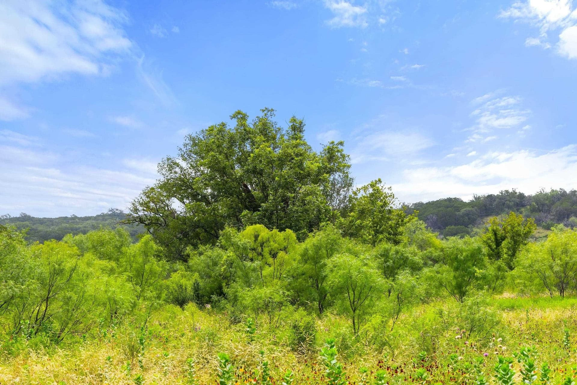 232.8 acres in Burnet County - photo 31