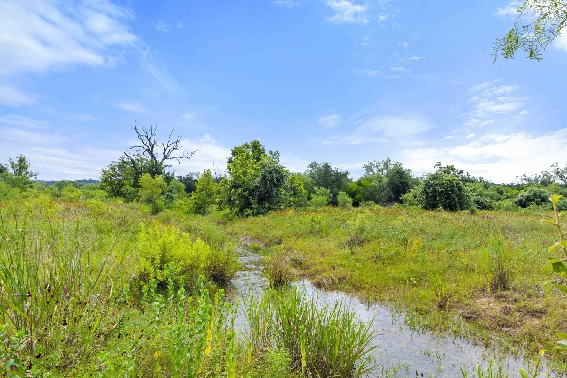 232.8 acres in Burnet County - photo 9
