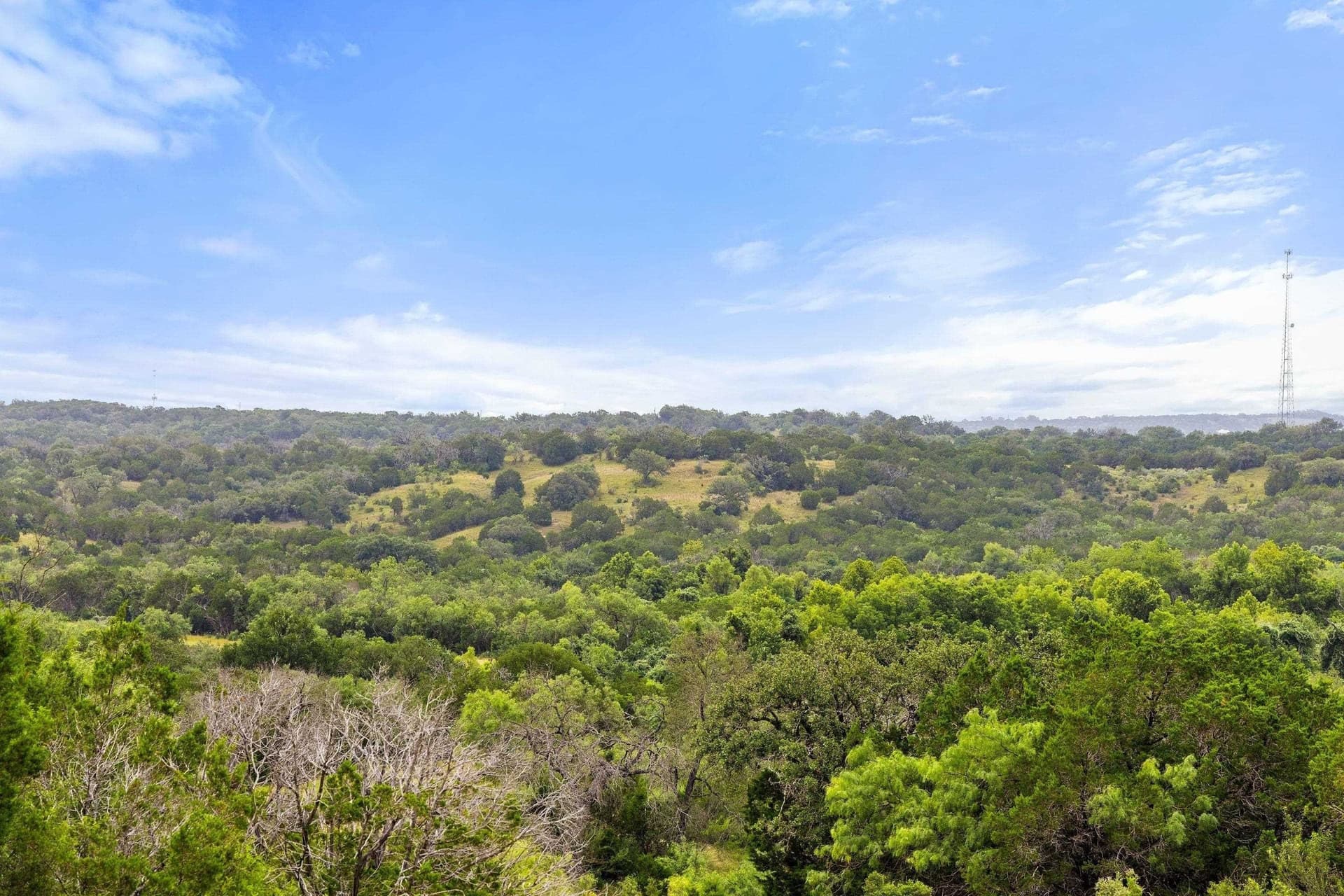 232.8 acres in Burnet County - photo 28