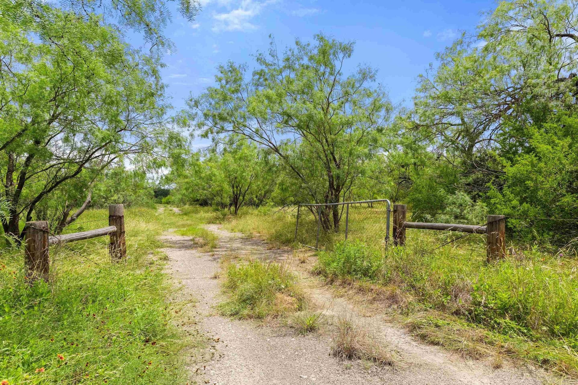 232.8 acres in Burnet County - photo 32