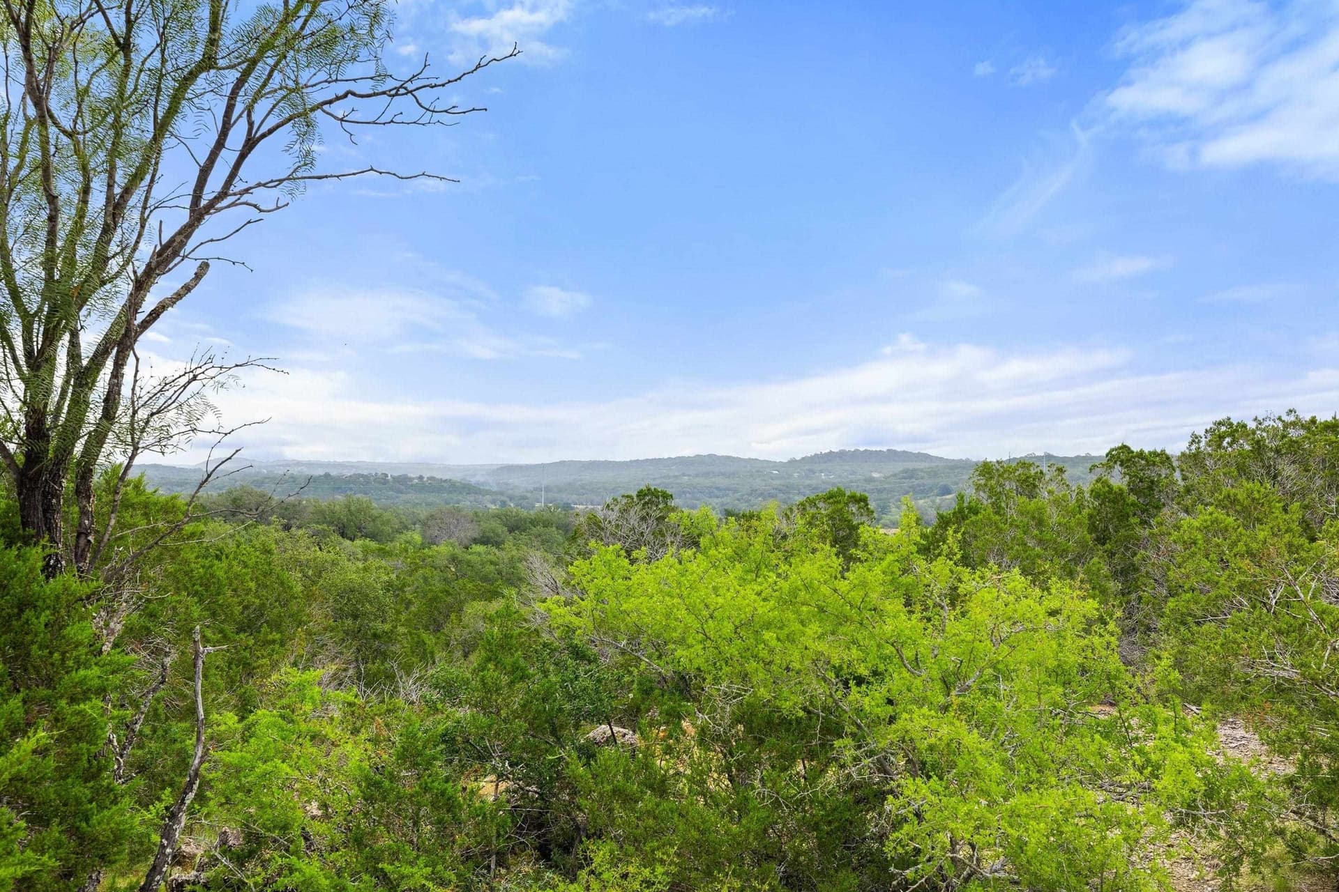 232.8 acres in Burnet County - photo 26