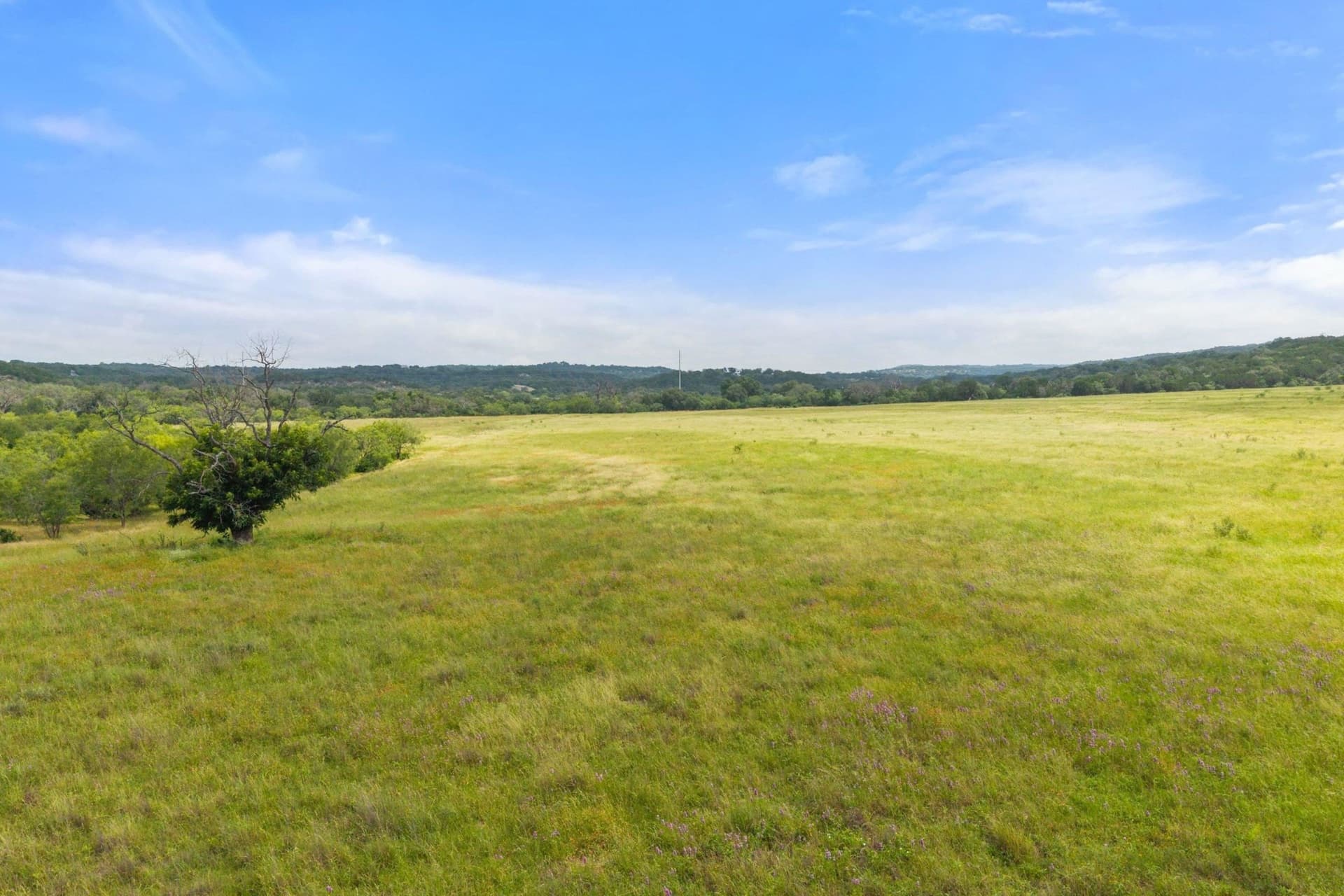 232.8 acres in Burnet County - photo 17