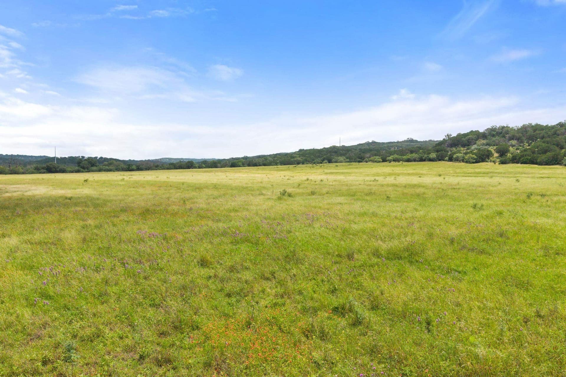 232.8 acres in Burnet County - photo 18