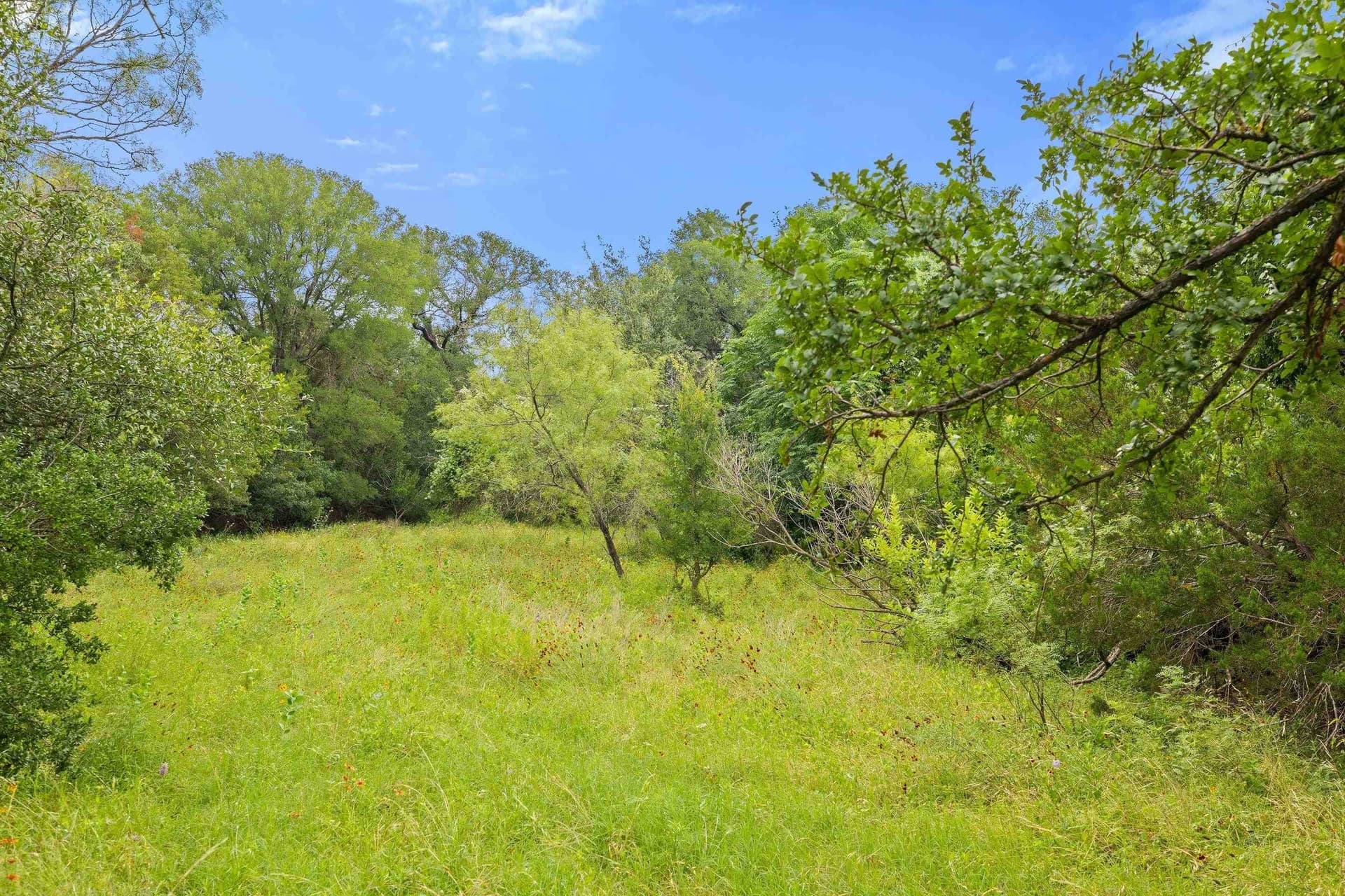 232.8 acres in Burnet County - photo 25