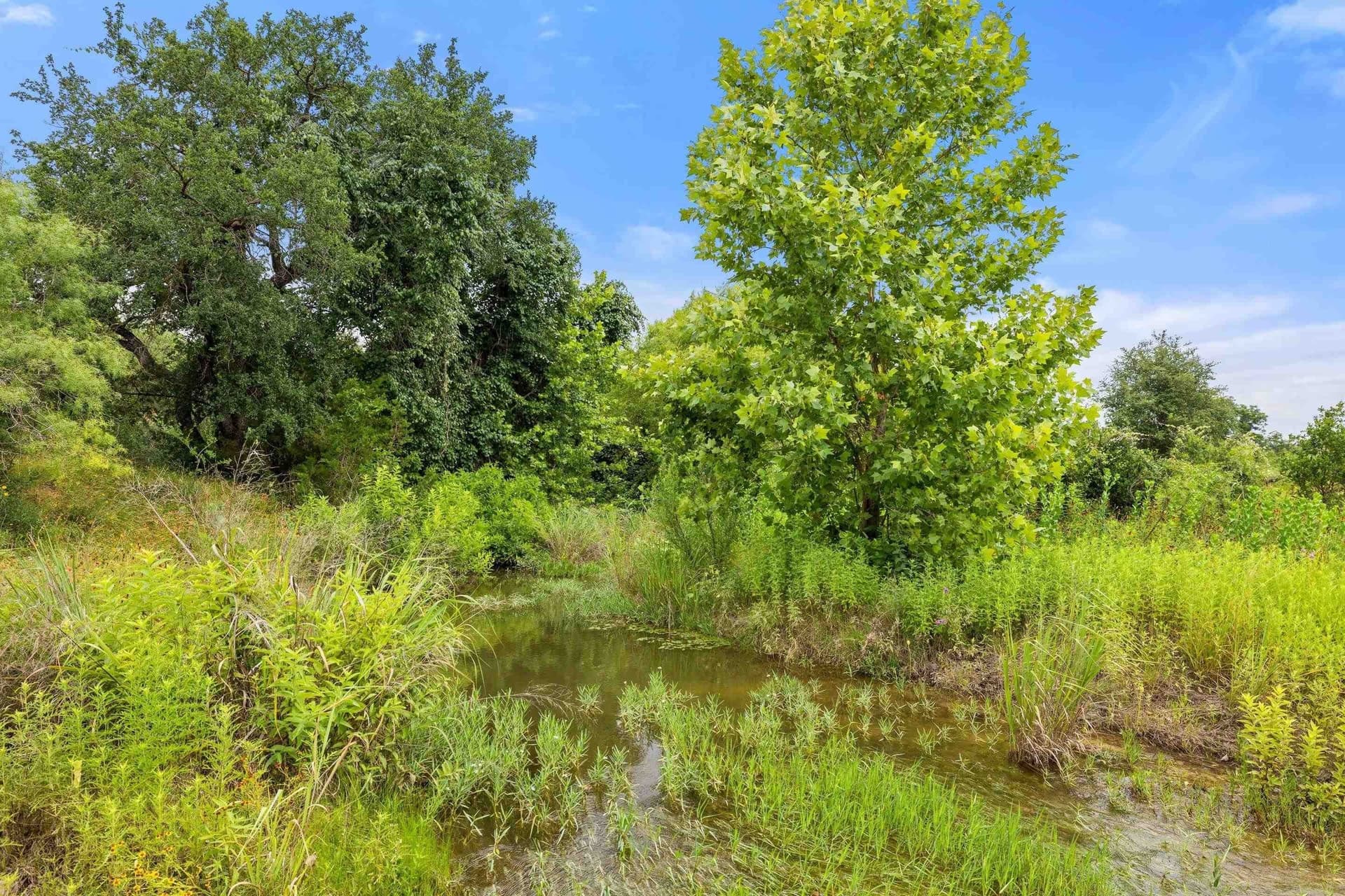 232.8 acres in Burnet County - photo 24